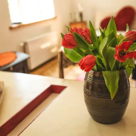 Koleri Central Apartment *